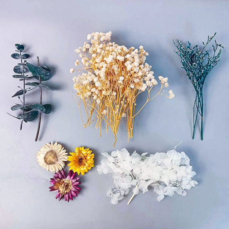 Embellish Craft - ชุดดอกไม้แห้งหลากหลายชนิด 1 แพ็ค สำหรับงานฝีมือ DIY ตกแต่งบ้าน