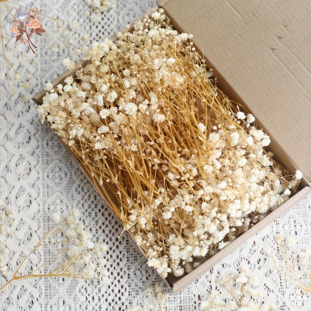 Embellish Craft - ดอกยิปโซฟิล่าแห้งขนาดเล็ก 100 ชิ้น สำหรับงานประดิษฐ์เรซิน DIY ตกแต่งบ้าน